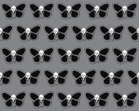 b&b wallpaper - butterfly skull