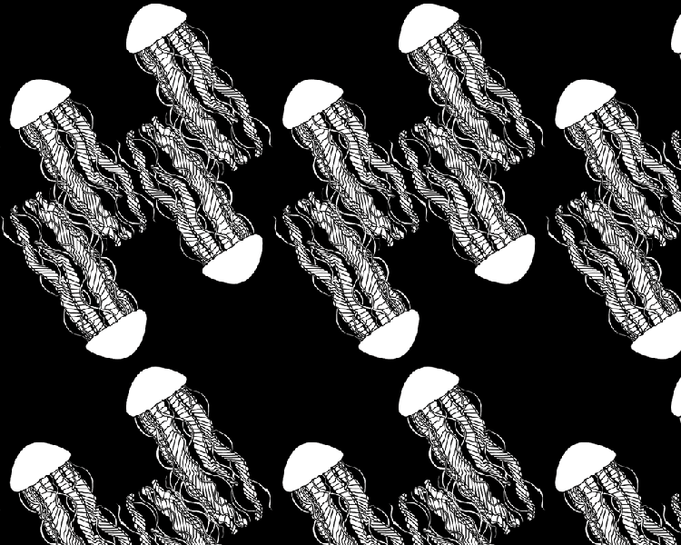 Jellyfish wallpaper swatch